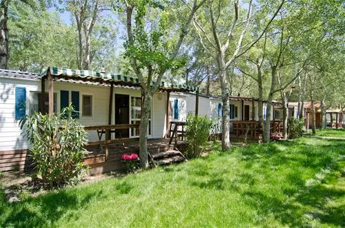 thalatta-kalamitsi-village-camp-kalamitsisithonia-u7jvg