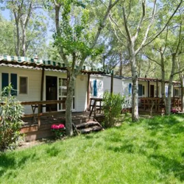 thalatta-kalamitsi-village-camp-kalamitsisithonia-u7jvg