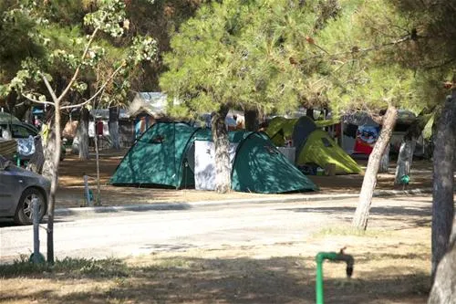 thalatta-kalamitsi-village-camp-kalamitsisithonia-uznof
