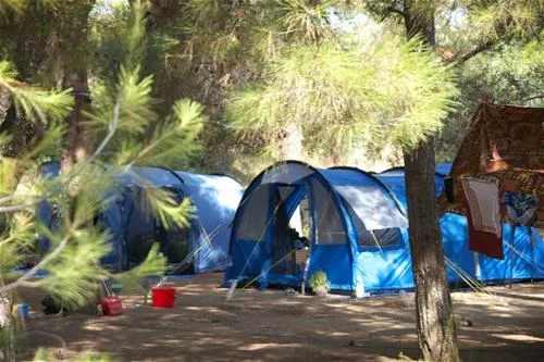 thalatta-kalamitsi-village-camp-kalamitsisithonia-wqeld
