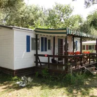 thalatta-kalamitsi-village-camp-kalamitsisithonia-wsifo