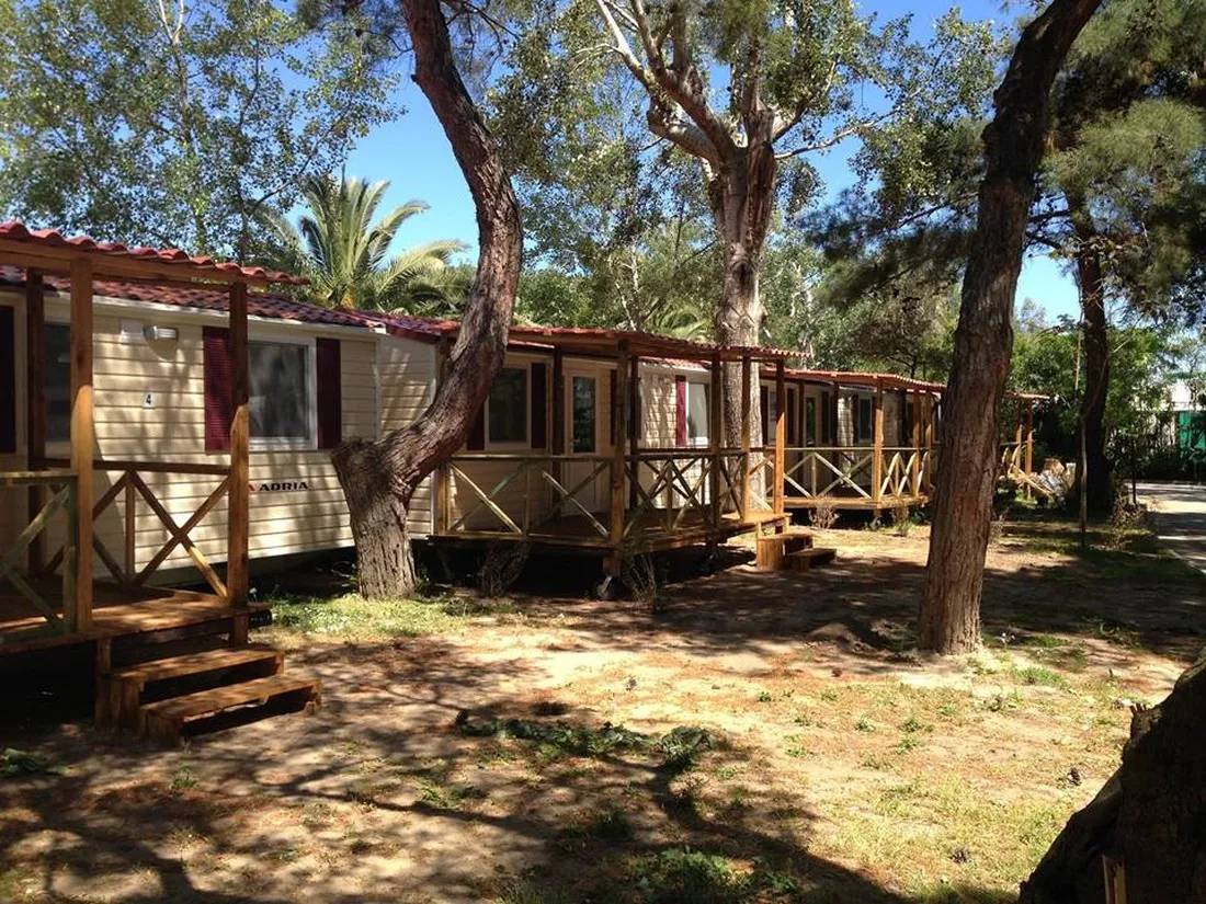 thalatta-kalamitsi-village-camp-kalamitsisithonia-yvopo