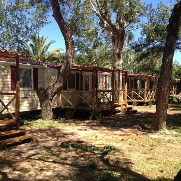 thalatta-kalamitsi-village-camp-kalamitsisithonia-yvopo
