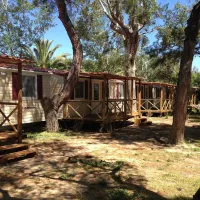 thalatta-kalamitsi-village-camp-kalamitsisithonia-yvopo