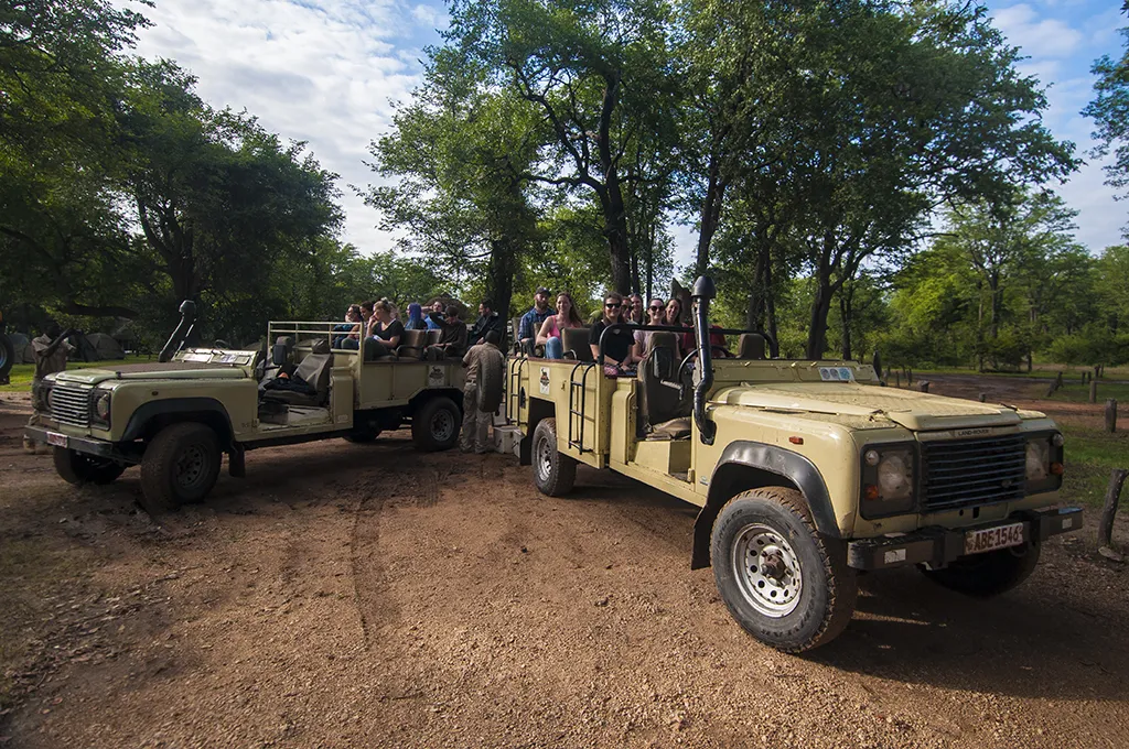 wildlife-camp-5zygd