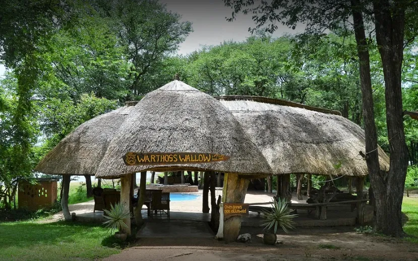 wildlife-camp-8ktsj