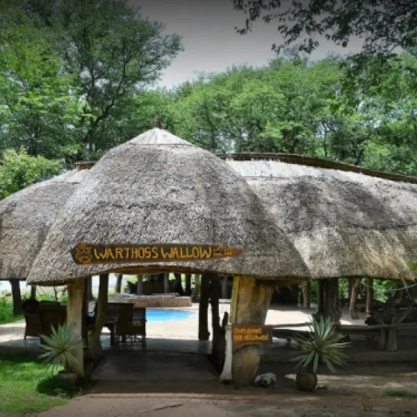 wildlife-camp-8ktsj