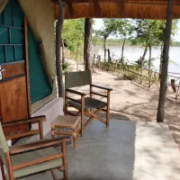 wildlife-camp-ip2ie