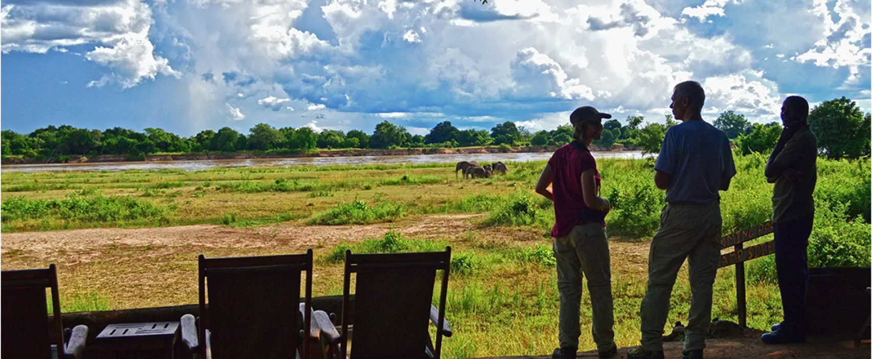 Wildlife Camp