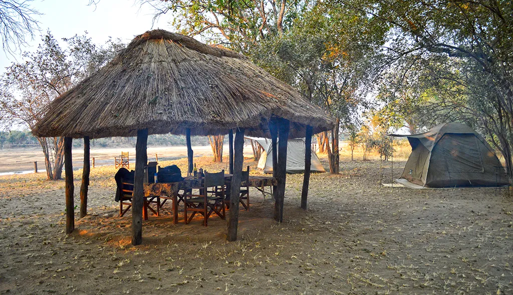 wildlife-camp-lfgpm