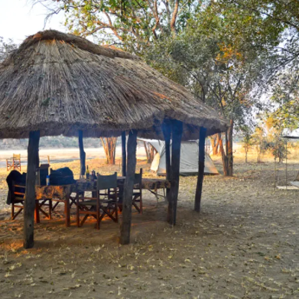 wildlife-camp-lfgpm