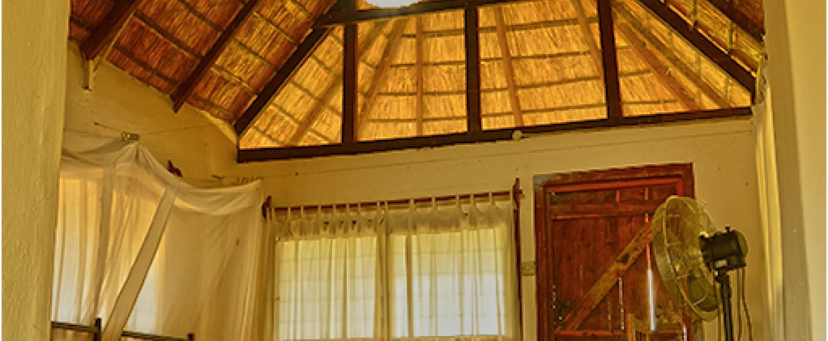 Wildlife Camp