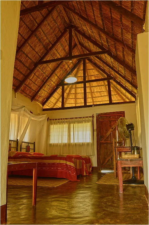 wildlife-camp-nmzqw