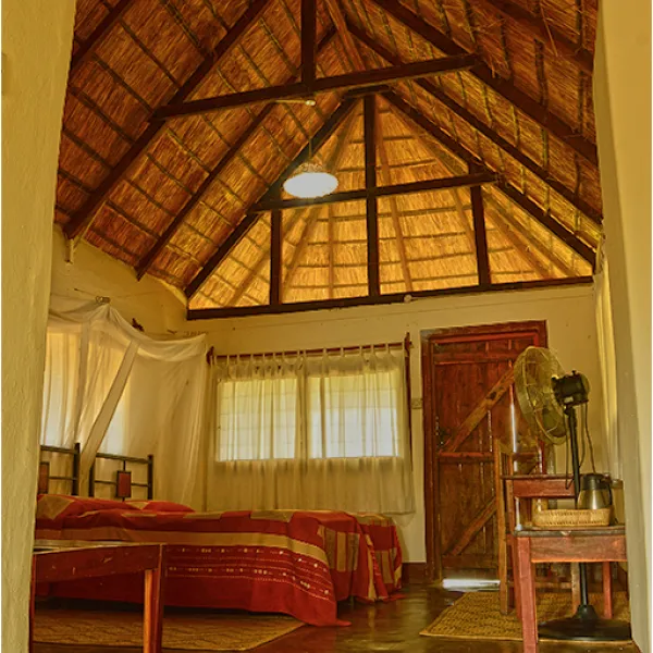 wildlife-camp-nmzqw