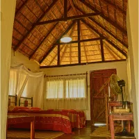 wildlife-camp-nmzqw