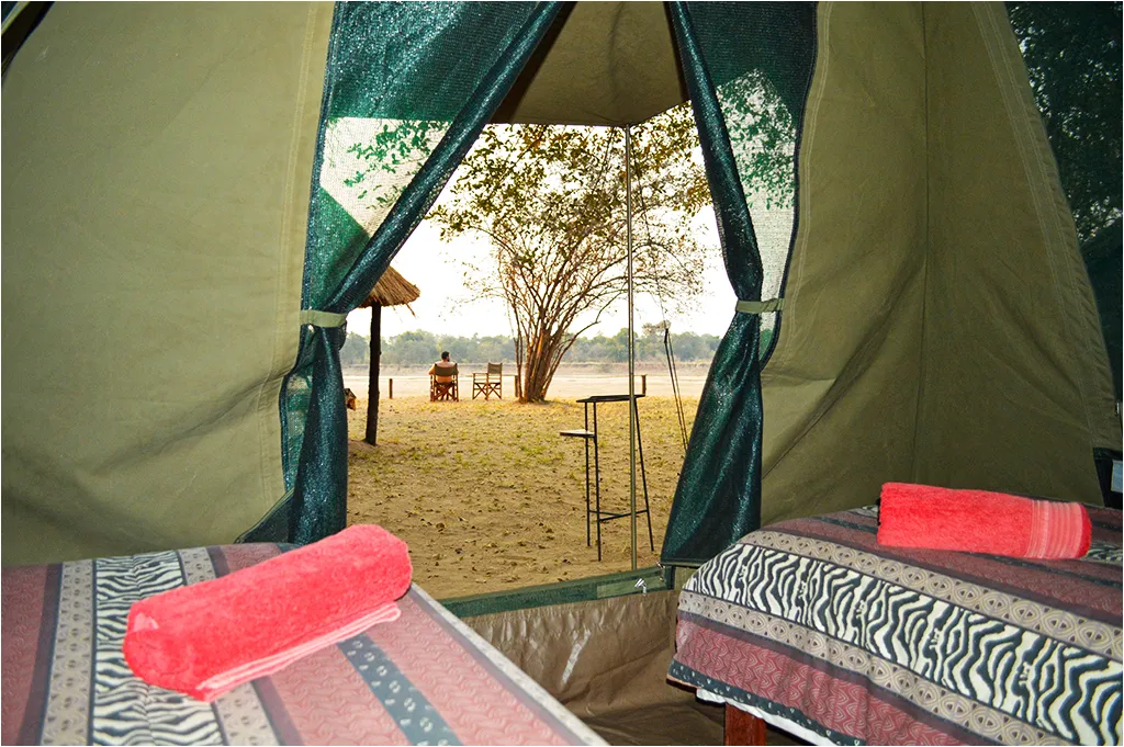wildlife-camp-w9k1w