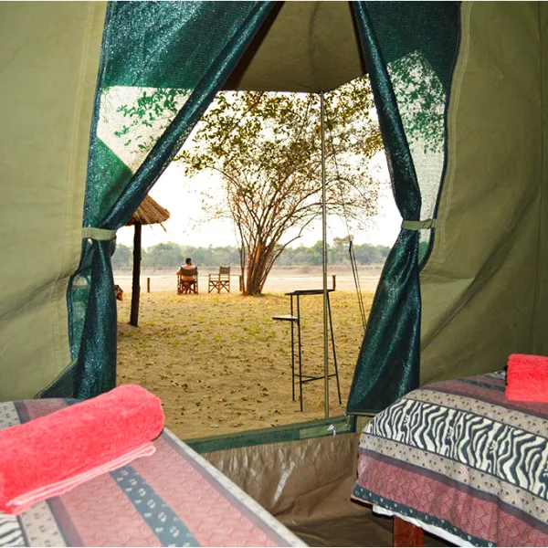 wildlife-camp-w9k1w
