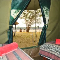 wildlife-camp-w9k1w