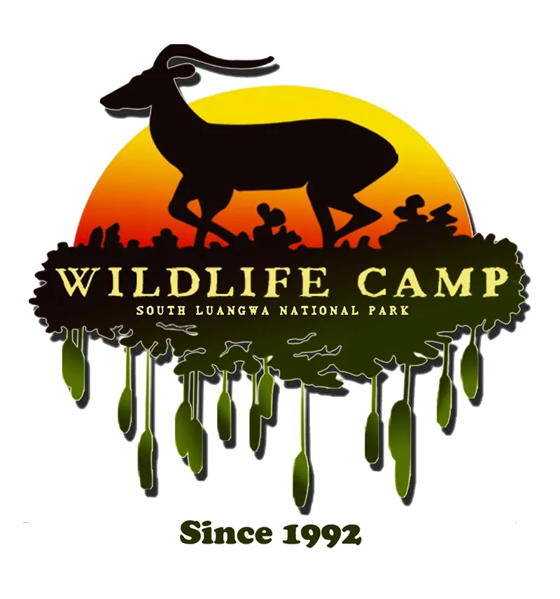 wildlife-camp-we7bt