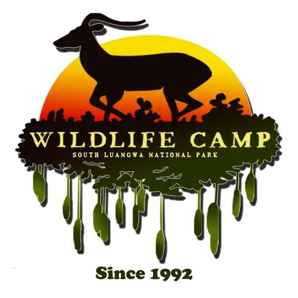 Wildlife Camp
