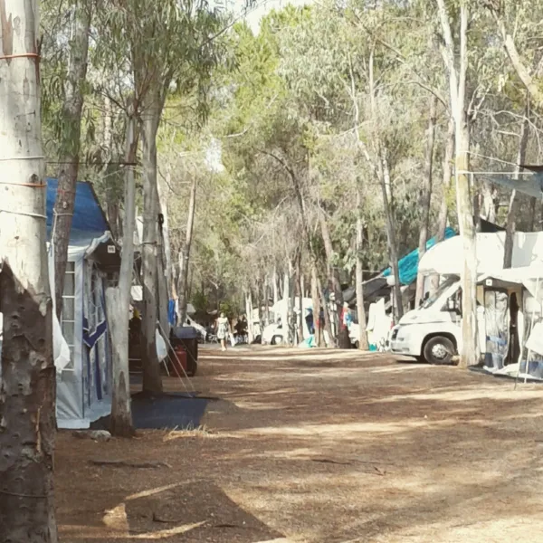 Campeggio Laconella