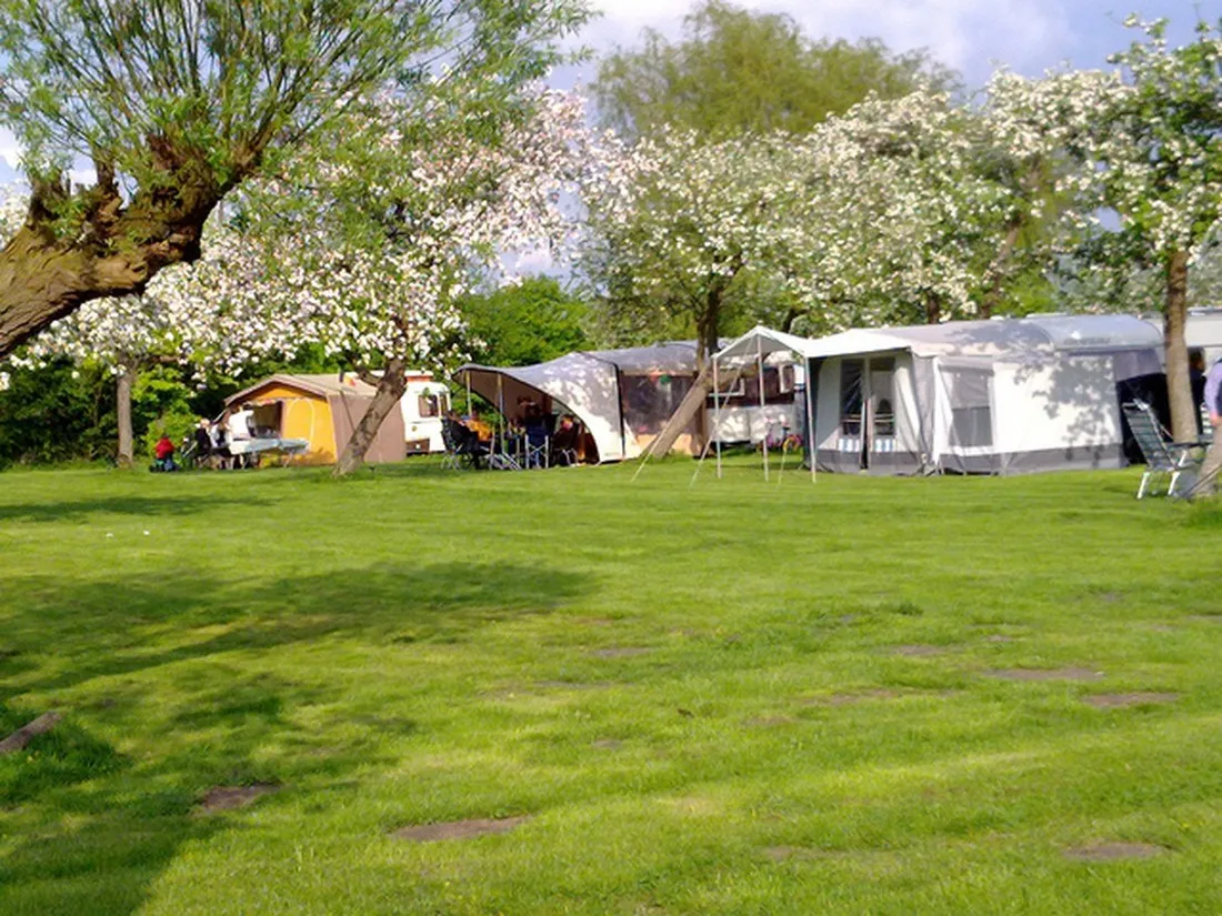 mini-camping-t-sluisje-hoek-ckmyo
