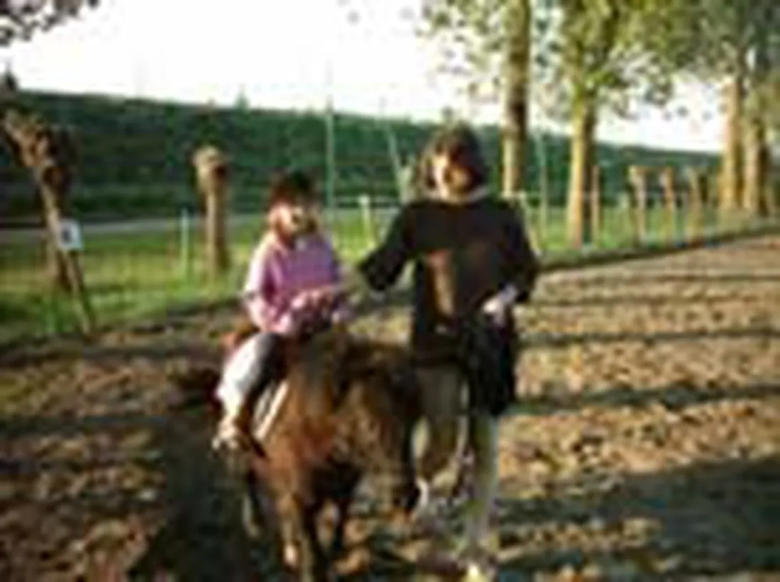 mini-camping-t-sluisje-hoek-n49qc