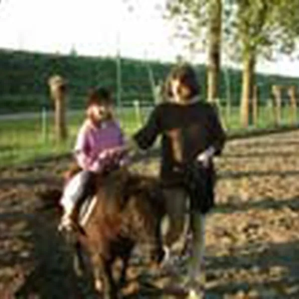 mini-camping-t-sluisje-hoek-n49qc