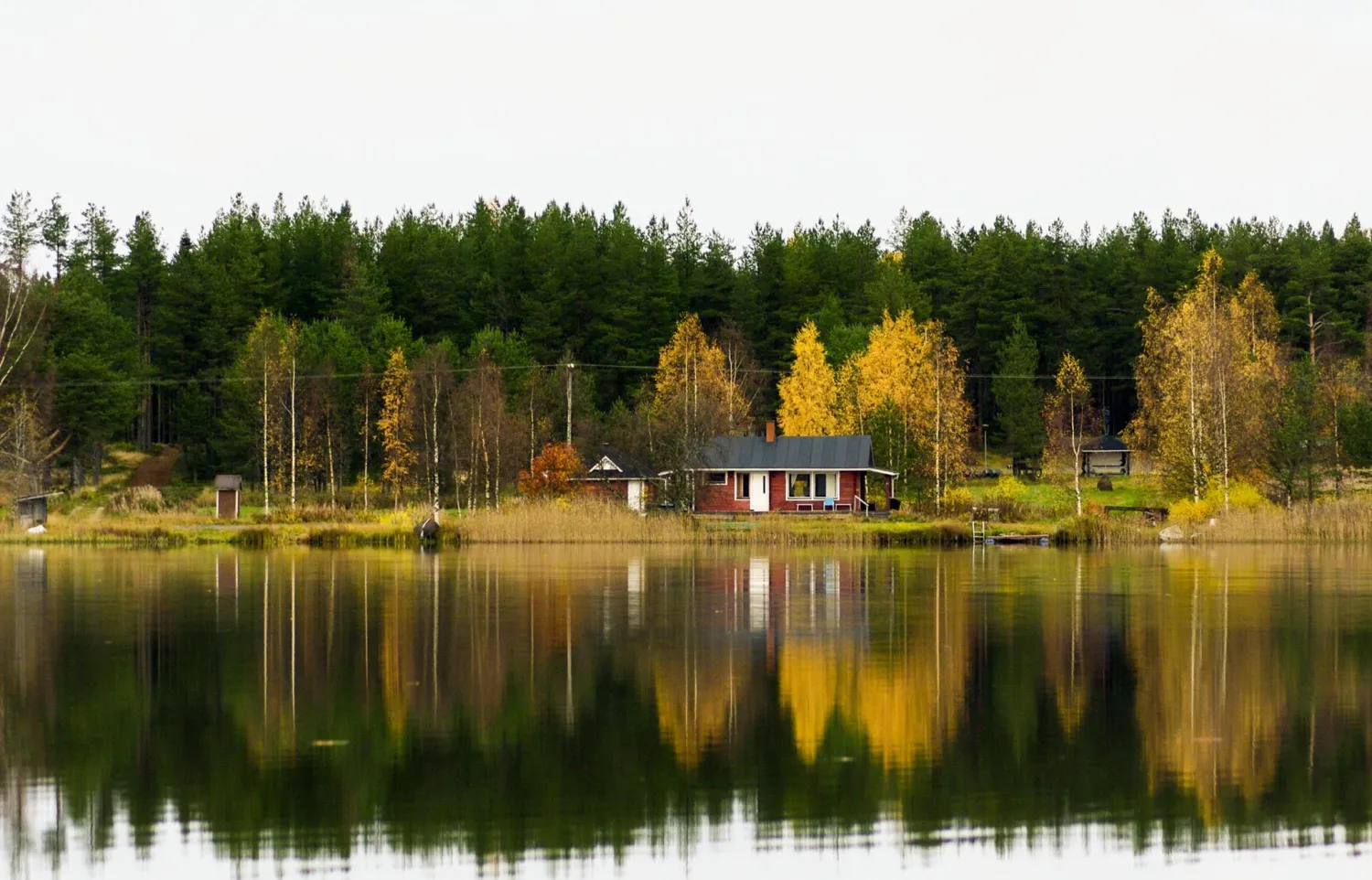 vuoton-joutsen-ylikiiminki-fwbsj
