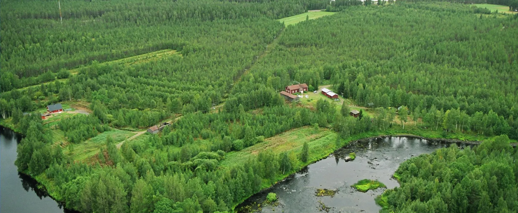 Vuoton Joutsen