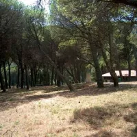 parque-de-campismo-rural-de-montejunto-cadaval-htsmj
