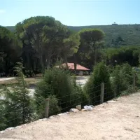 parque-de-campismo-rural-de-montejunto-cadaval-u68sr