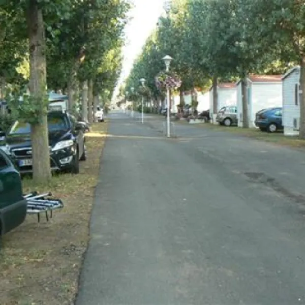 camping-californieplage-vias-plage-sb0jz