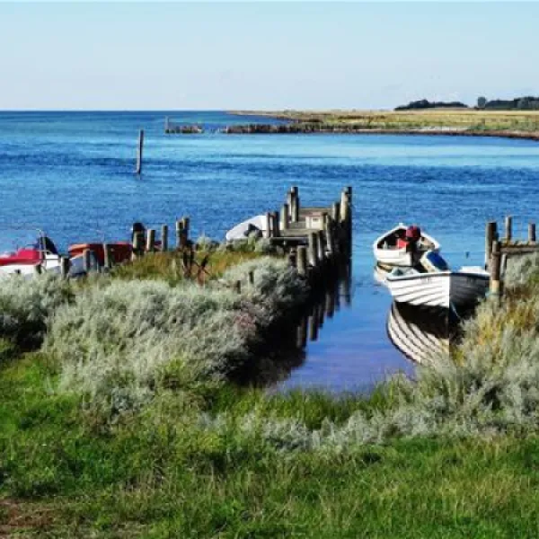 Bisserup Camping