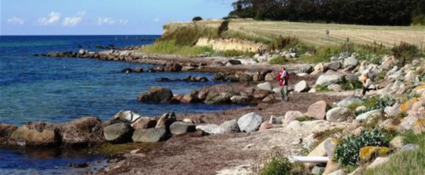Bisserup Camping