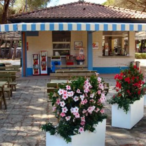 camping-principina-grosseto-ypwyd
