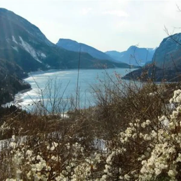 camping-spiaggia-lago-di-molveno-molveno-sxnl7