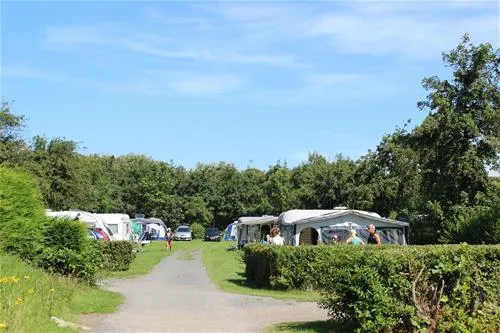 molecaten-park-hoogduin-cadzand-ywrfw