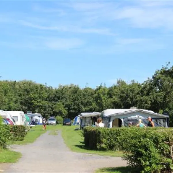 molecaten-park-hoogduin-cadzand-ywrfw