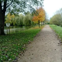Camping Municipal De La Gironde