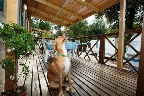 camping-tina-vrsar-zkx21