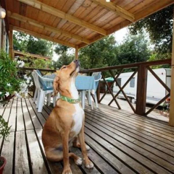 camping-tina-vrsar-zkx21