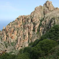 sagone-camping-sagone-jgafa