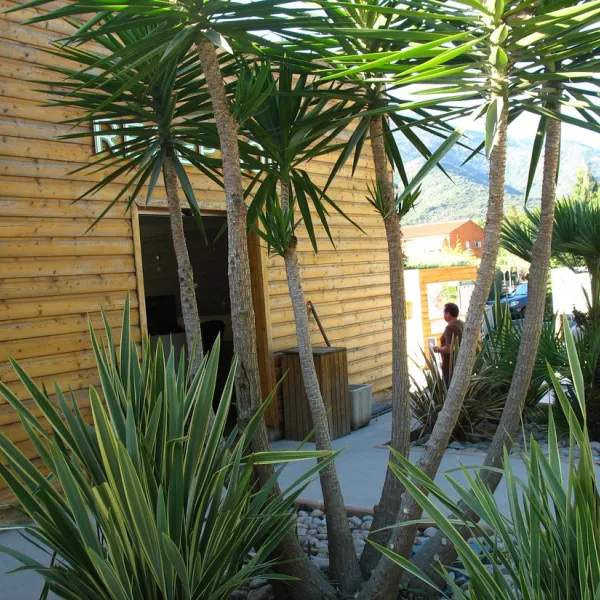 sagone-camping-sagone-z4n7l