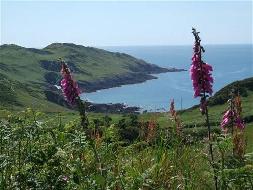 north-morte-farm-caravan-and-camping-park-woolacombe-oeant