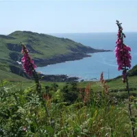 north-morte-farm-caravan-and-camping-park-woolacombe-oeant