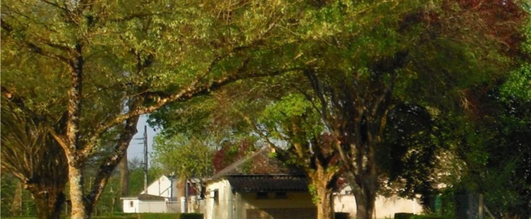 Camping Municipal Des Patis