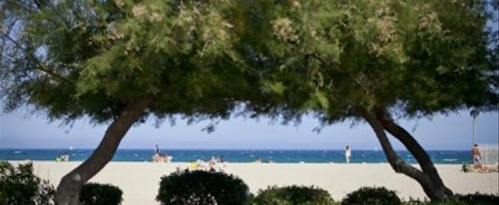 Camping La Chapelle  