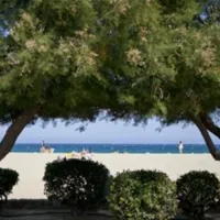 camping-la-chapelle-argeles-sur-mer-zru5a