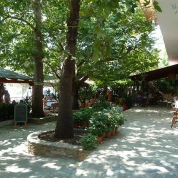camping-sikia-volos-cufav